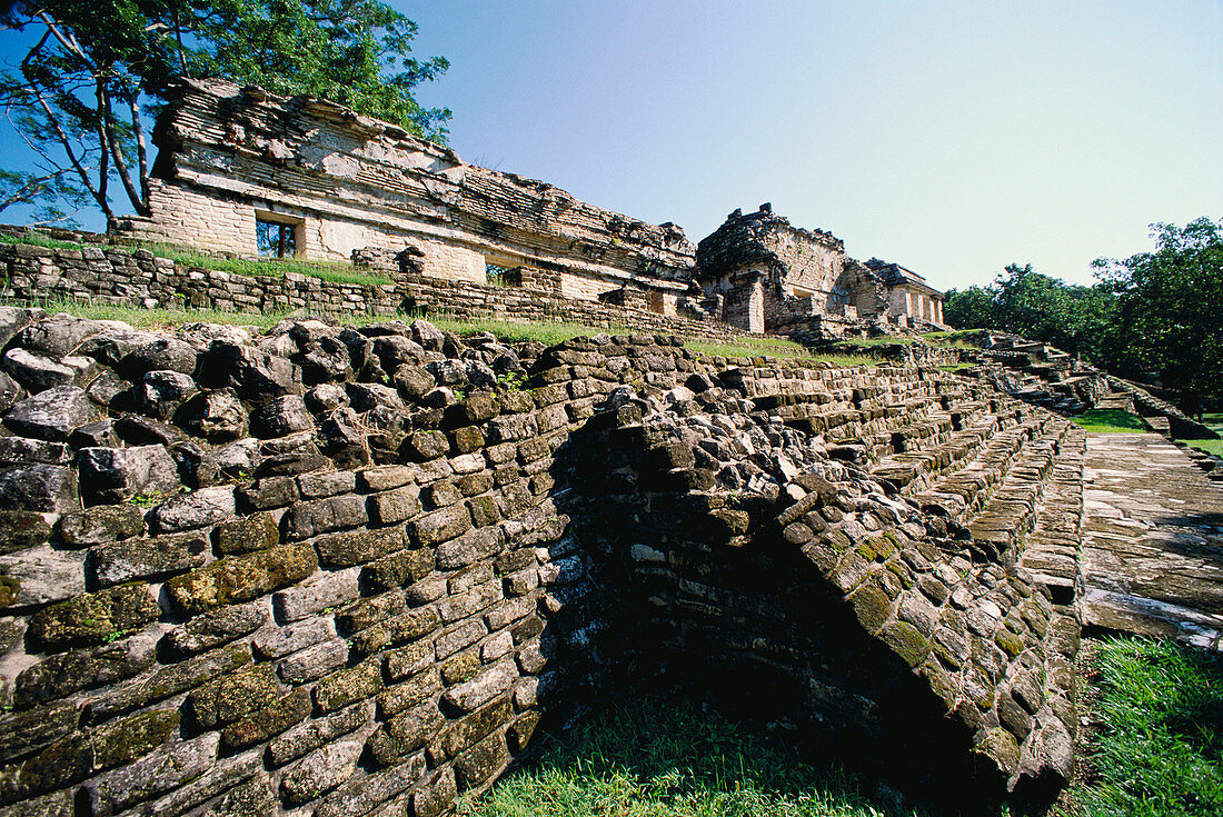 Palenque Mayan archaelogical site, North Group (Group VIII). Chiapas province. Mexico