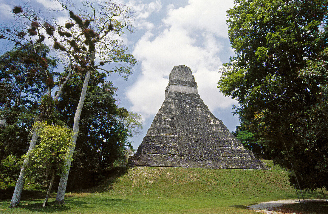 Mayan ruins of Tikal. Guatemala