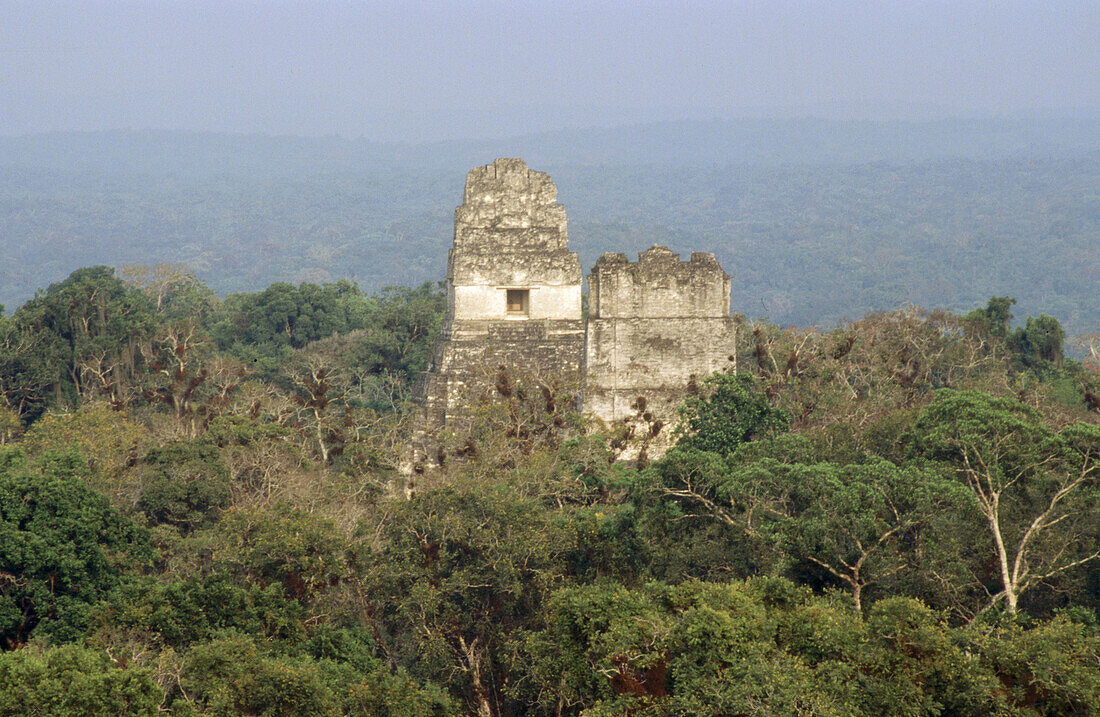 Mayan ruins of Tikal. Guatemala