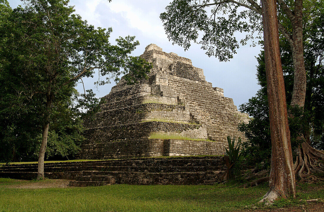 Mayan piramid. Chacchoben. Quintana-Roo. Yucatán. Mexico.