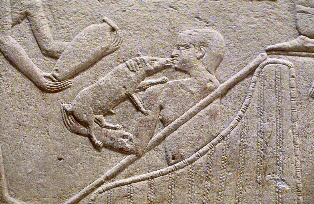 Relief. Saqqara. Egypt