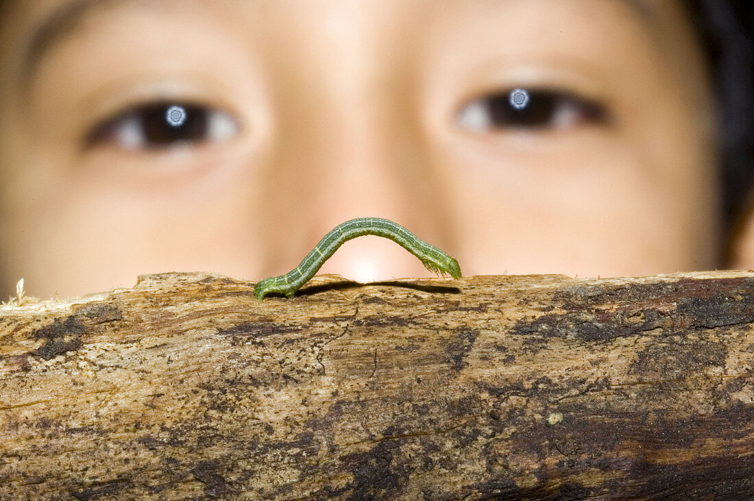 Animal, Animals, Boy, Boys, Bug, Bugs, Child, Children, Color, Colour, Contemporary, Curiosity, Curious, Exterior, Eye, Eyes, Face, Faces, Headshot, Headshots, Human, Insect, Insects, Invertebrate, Invertebrates, Kid, Kids, Look, Looking, Macro photograph