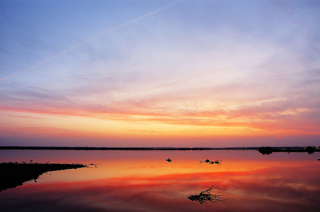 Doñana National Park at dusk. Huelva province, Andalusia, Spain