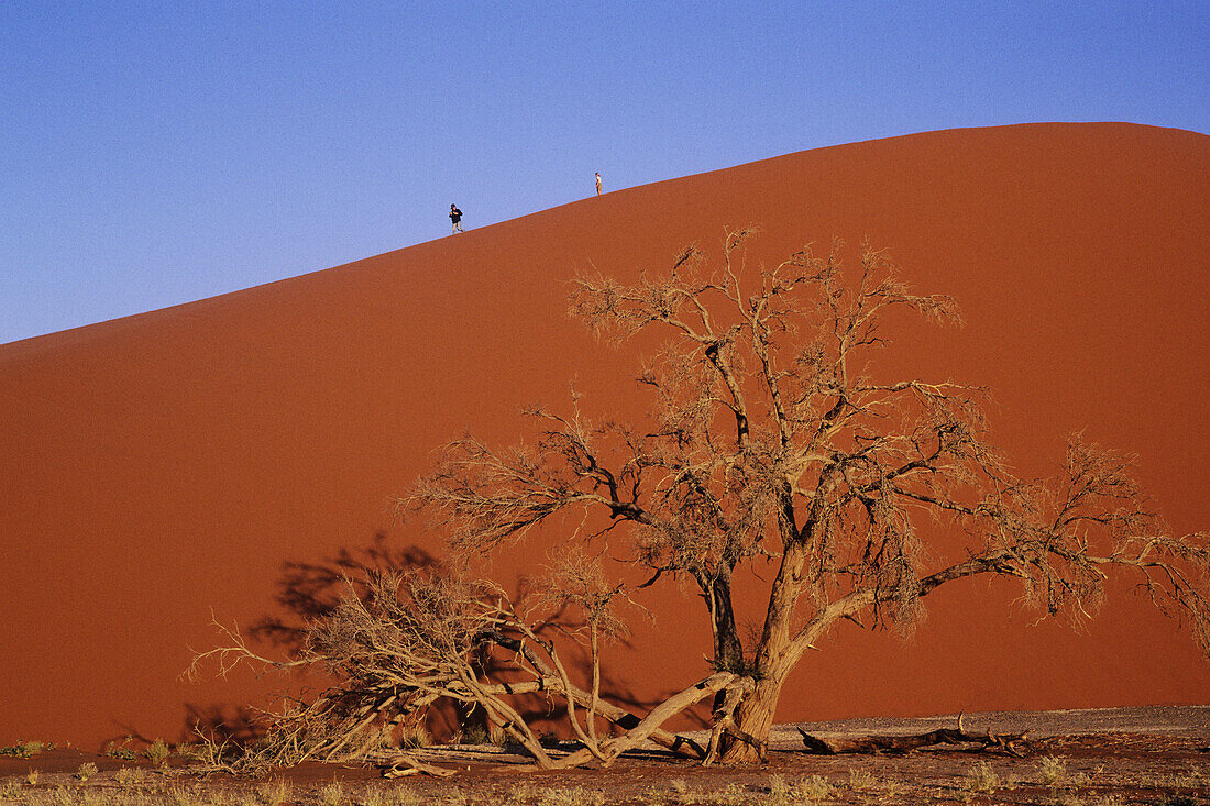 Person hiking up sand dune in Namibia.