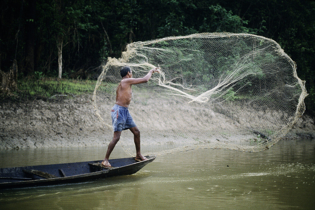 Outstrecheted net being spread through the Amazon river.