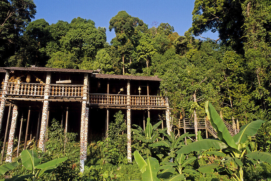 Iban tribe houses. Borneo, Malaysia