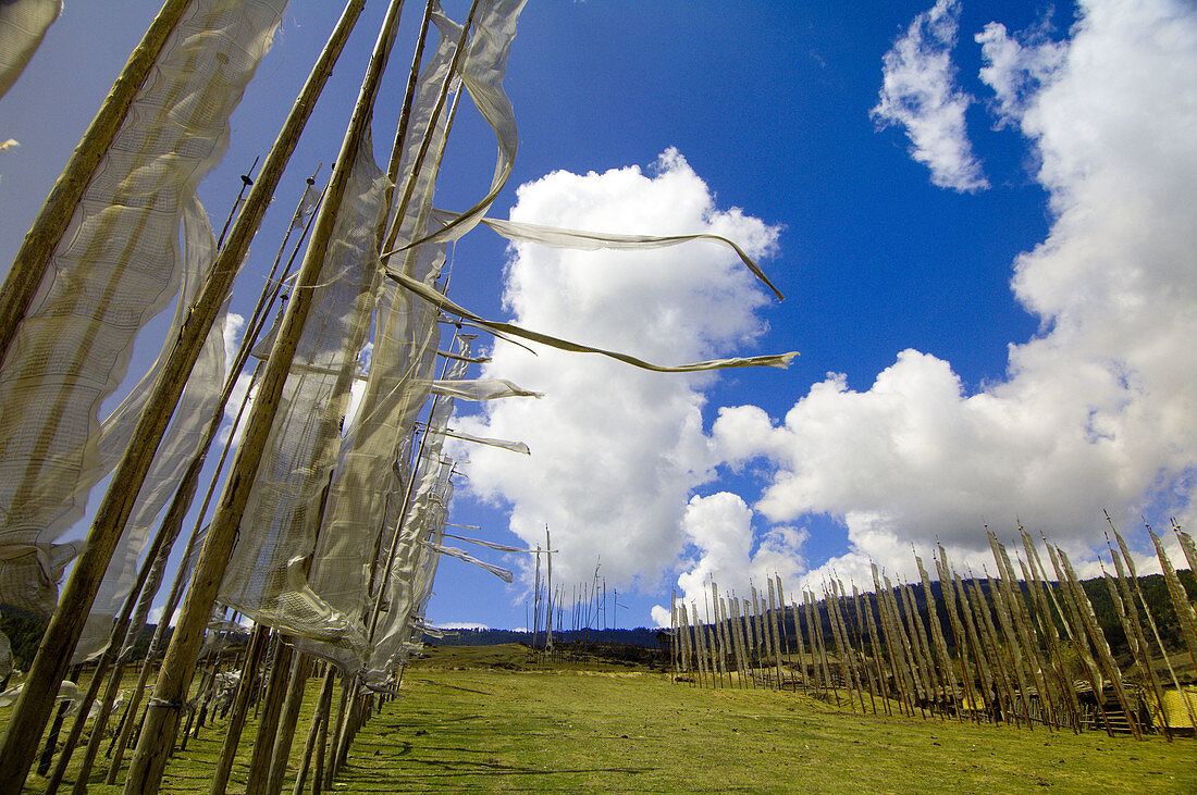 Prayer flags, Ura Valley Monastery, Bumthang Valley, Bhutan