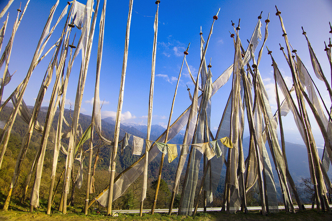 Prayer flags, Dochula Pass (Himalayas in background), Bhutan