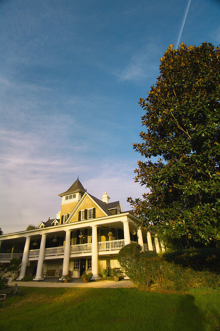 Magnolia Plantation, Charleston, South Carolina