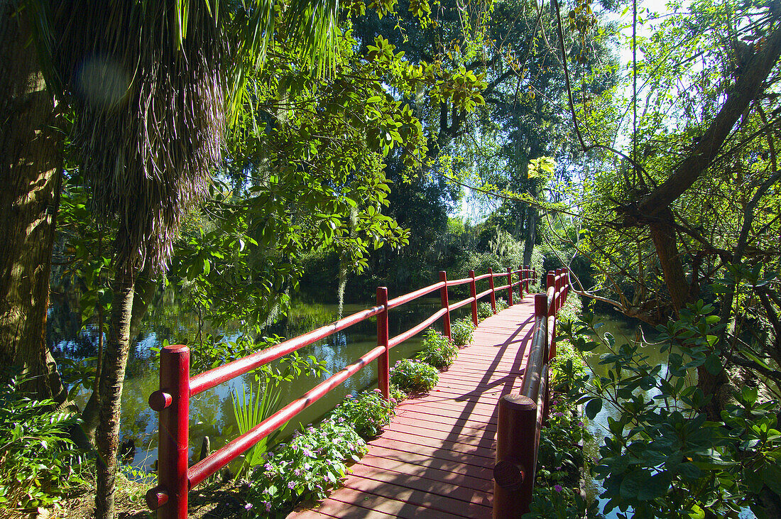 A bridge over a pond at the Magnolia Plantation, Charleston, South Carolina