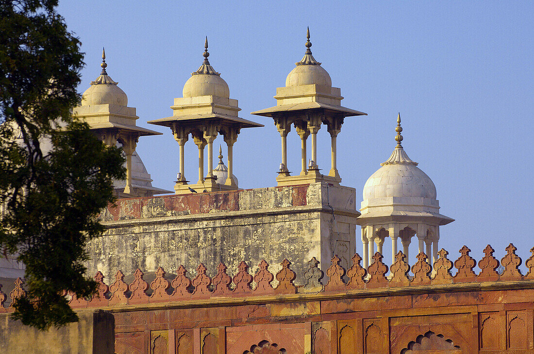 The Agra Fort (Red Fort of Agra), Agra, Uttar Pradesh, India