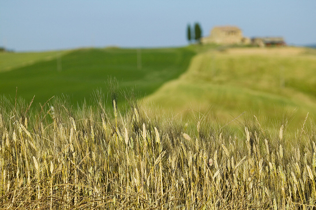 Val dOrcia. Tuscany, Italy