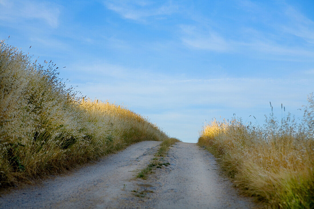 Val dOrcia. Tuscany, Italy