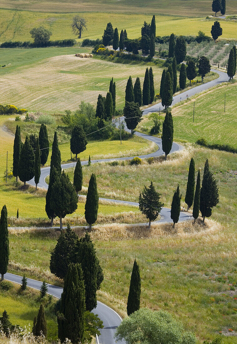 Val dOrcia. Tuscany, Italy