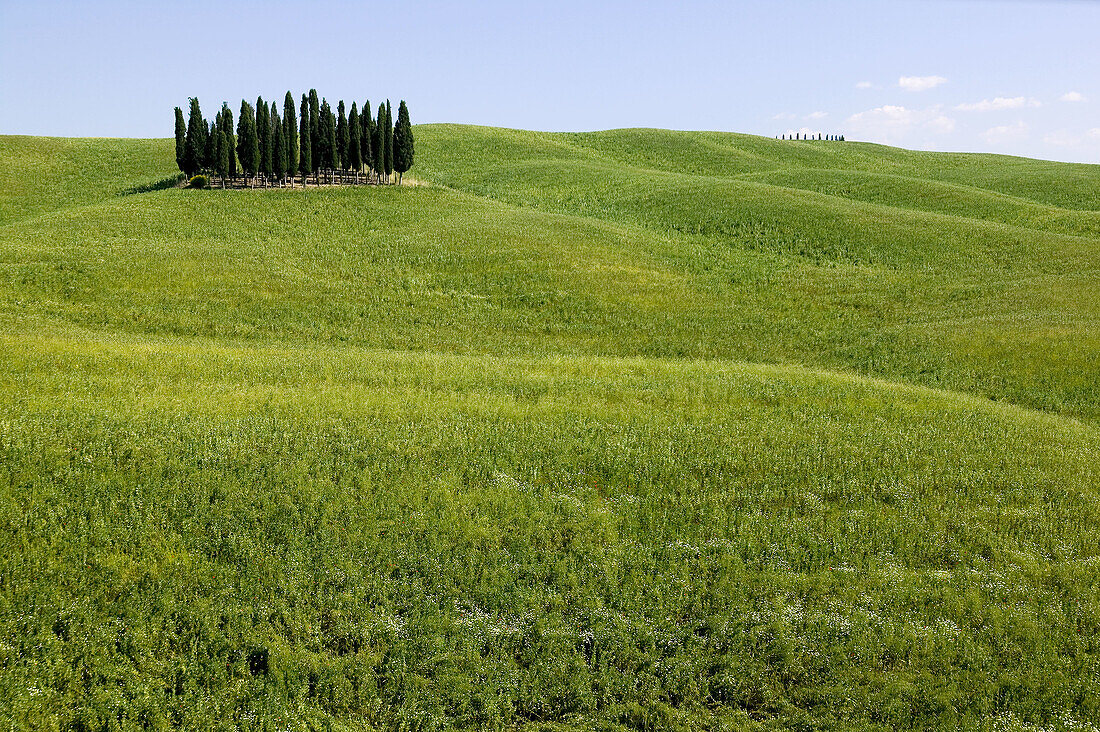 Val dOrcia. Tuscany, Italy