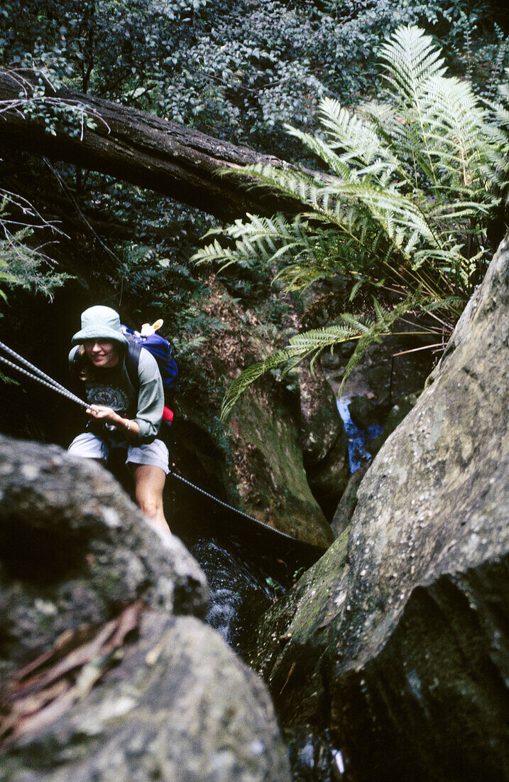 Female on the first abseil in Starlight Canyon, above Valley, Blue Mountains National Park, New South Wales, Australia.