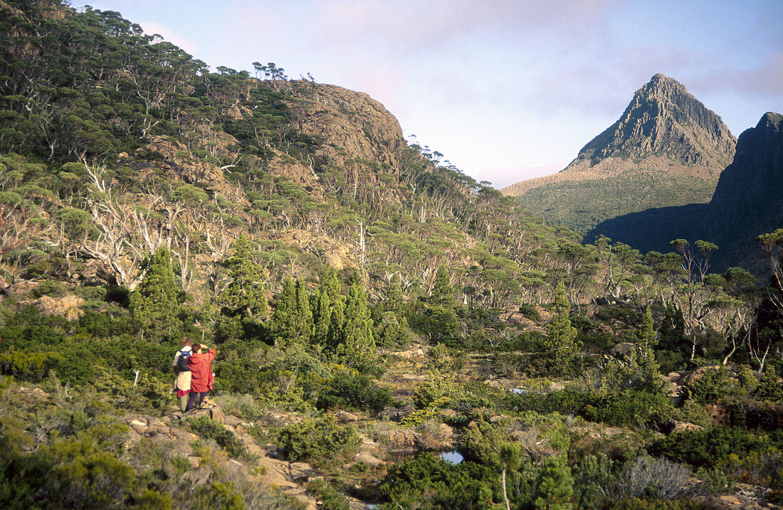 Hikers taking photos in the Labyrinth in front of Mt Gould. Cradle Mt-Lake St Clair National Park, Tasmania, Australia 