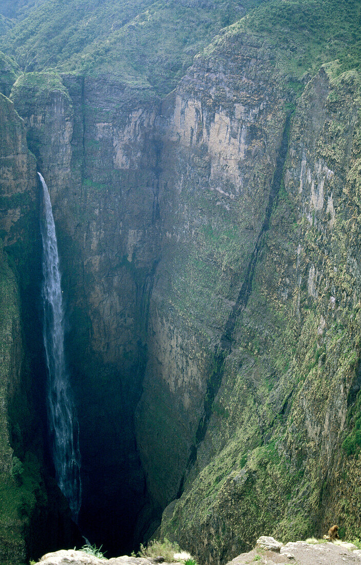 Jimba Wenz, impressive waterfall off the escarpment near Sankaber, Simien Mountains National Park, Ethiopia