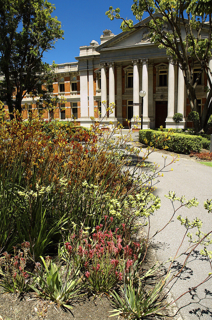 Supreme Court of Western Australia with endemic kangaroo paw flowers blooming in gardens outside, Perth, Western Australia
