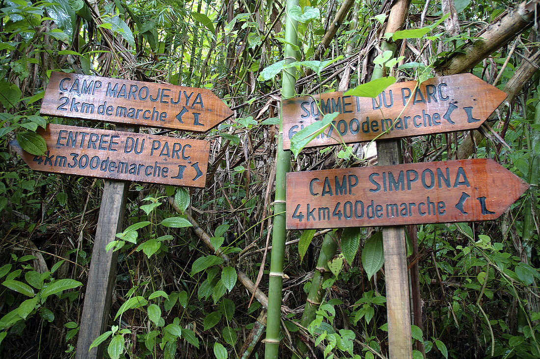 Signs indicating directions and distances on trails within Marojejy National Park, Madagascar