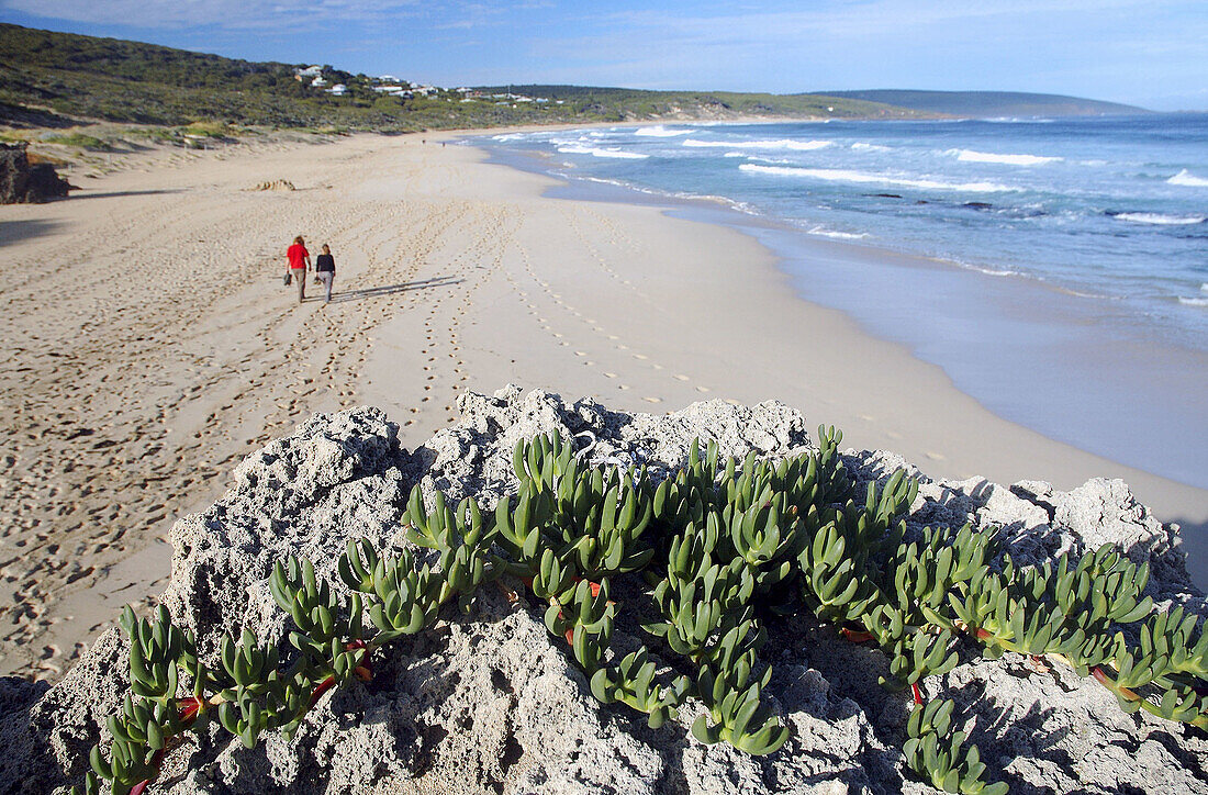 Yallingup beach and village, Margaret River region, Western Australia