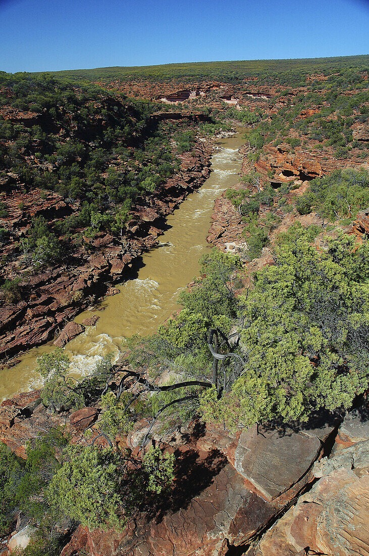 Murchison River flowing through red rock gorge at the Z bend, Kalbarri National Park, Western Australia