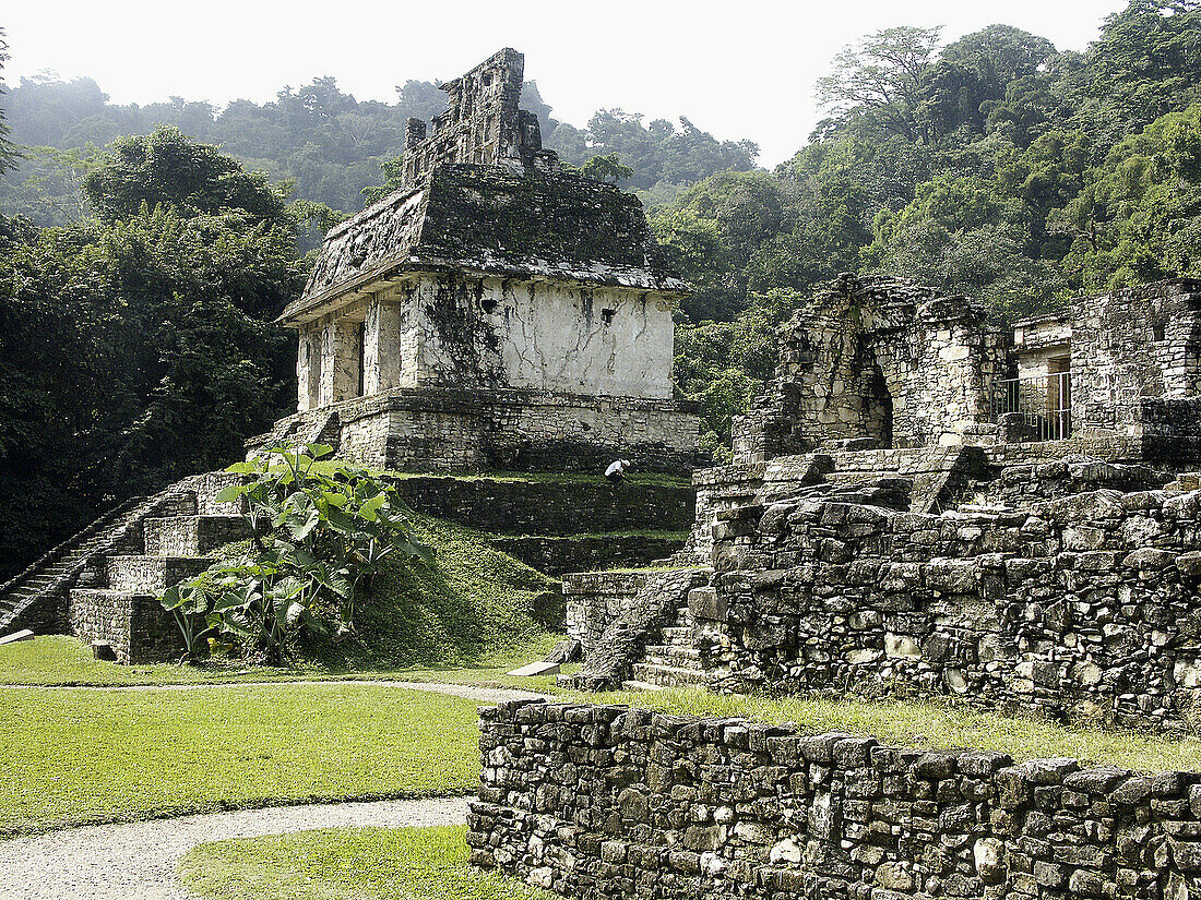 Temple of the Sun in Palenque, Maya archeological site (600 - 800 A.D.). Chiapas, Mexico