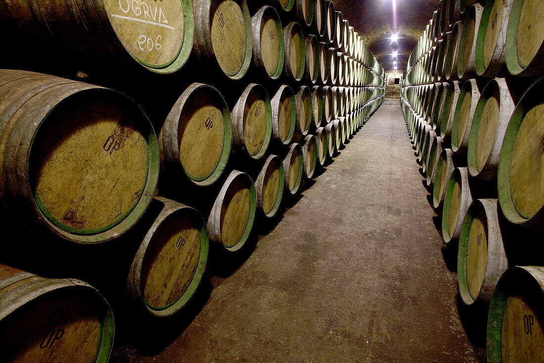 Herederos de Marques de Riscal winery. Elciego, Rioja alavesa. Alava, Euskadi, Spain