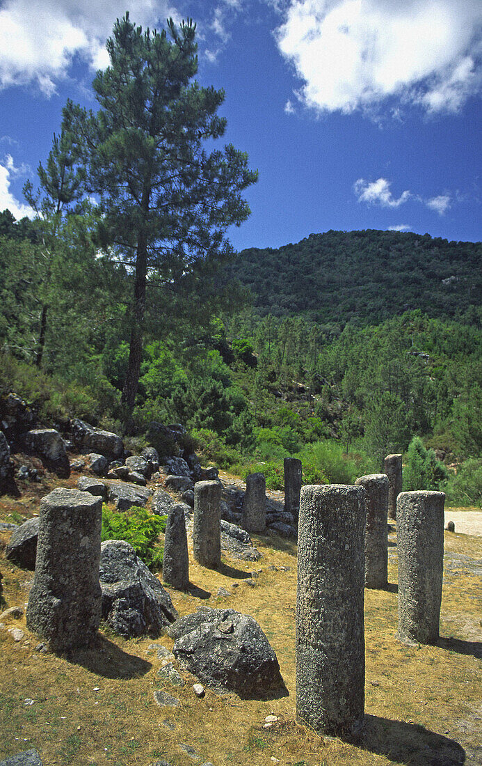 Miliary stone, Portela do Home, roman road. Baixa Limia-Serra do Xurés Natural Park. Orense province, Galicia, Spain