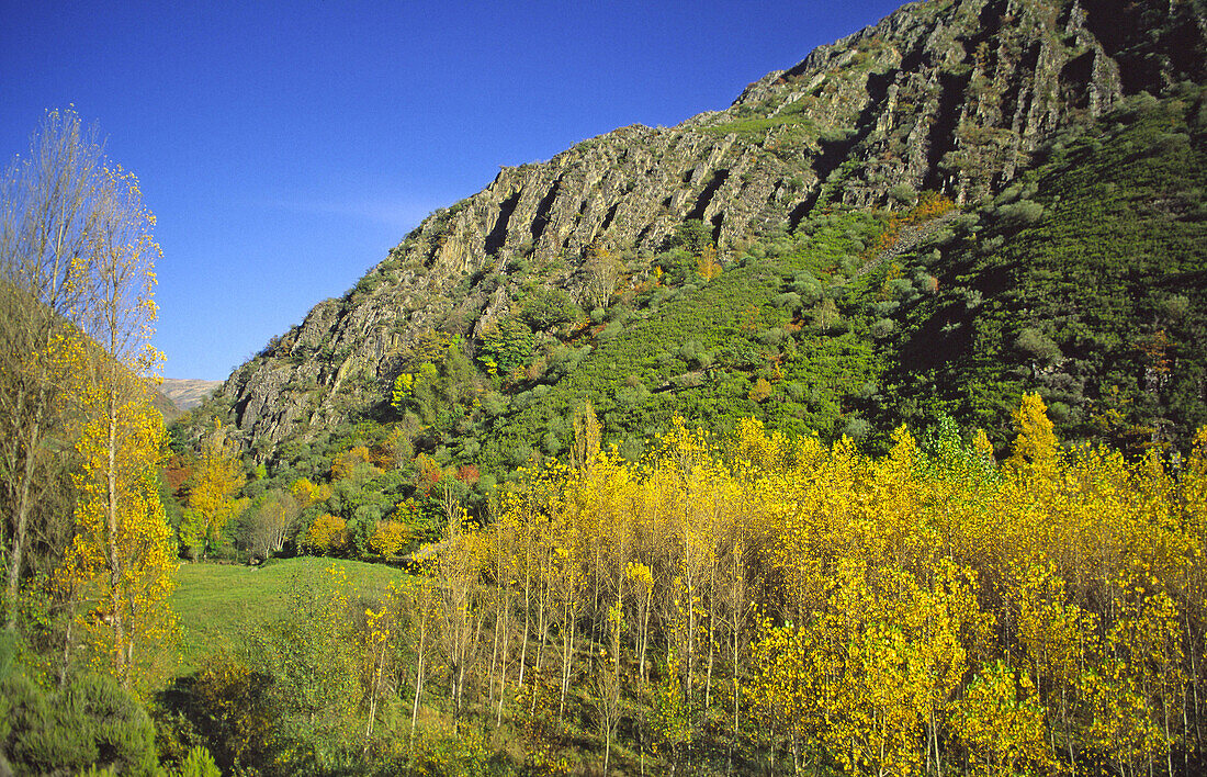 Salientes Valley  in autumn. Alto Sil, León province, Castilla-León, Spain
