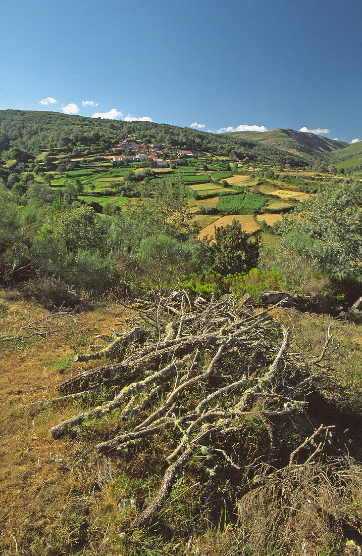 Queguas, Baixa Limia-Serra do Xurés Natural Park. Orense province, Galicia, Spain