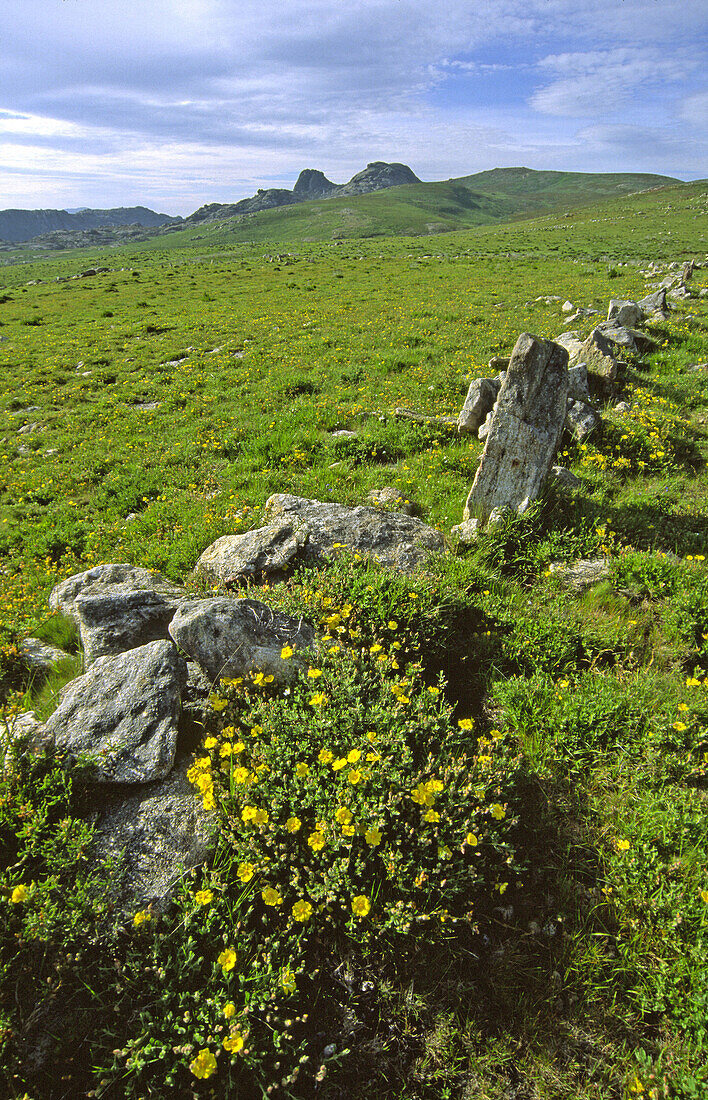 Peñas de Anamán. Baixa Limia-Serra do Xurés Natural Park. Orense province, Galicia, Spain