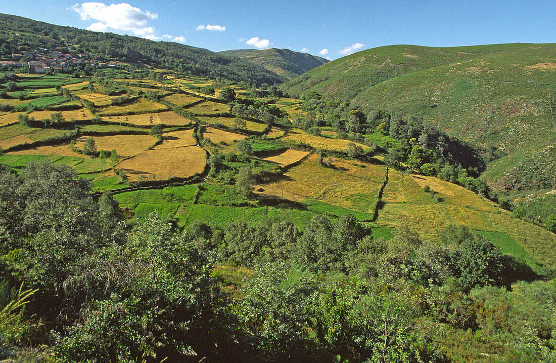 Queguas, Baixa Limia-Serra do Xurés Natural Park. Orense province, Galicia, Spain