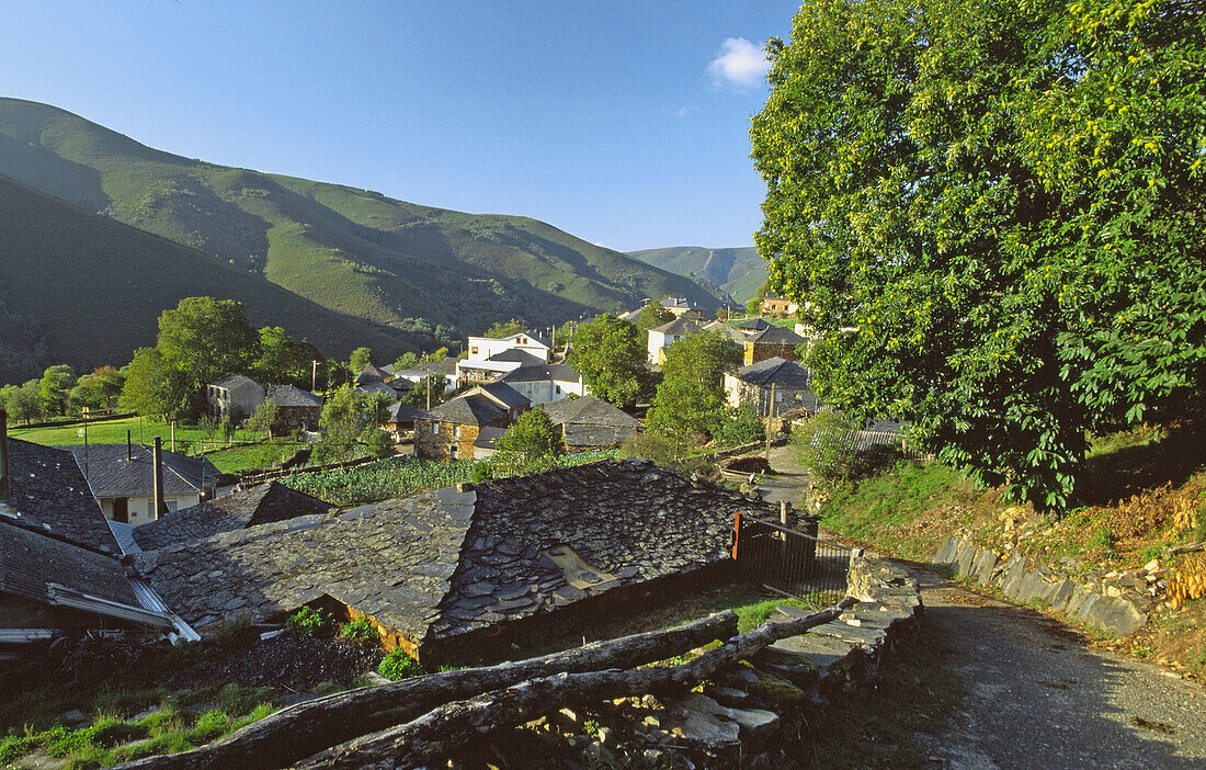 Murias, Los Ancares, Lugo province, Galicia, Spain
