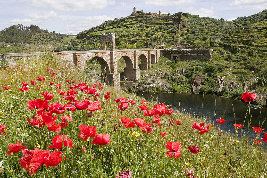 Roman bridge, Alcántara. Cáceres province, Extremadura. Spain