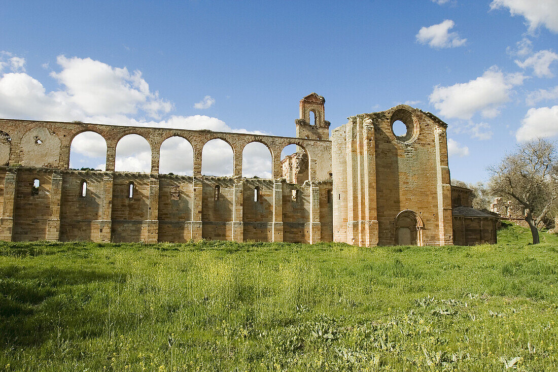 Ruins of Santa Maria de Moreruela Cistercian monastery (12th century). Zamora province, Castilla-León, Spain