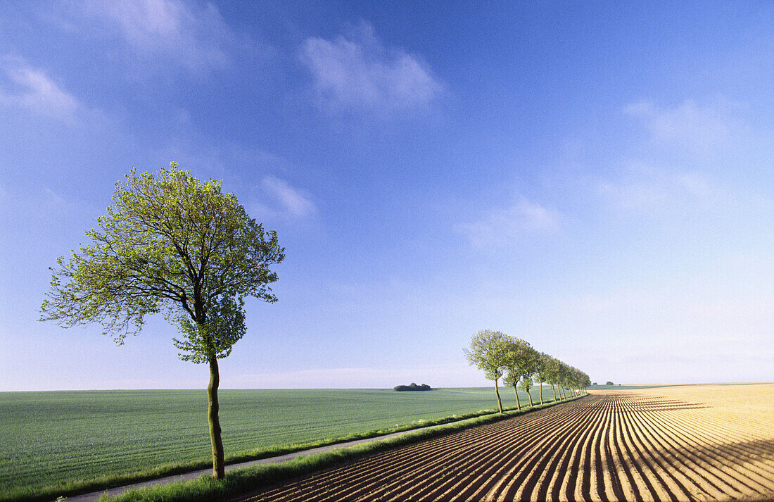 France, Picardy. Ploughed field