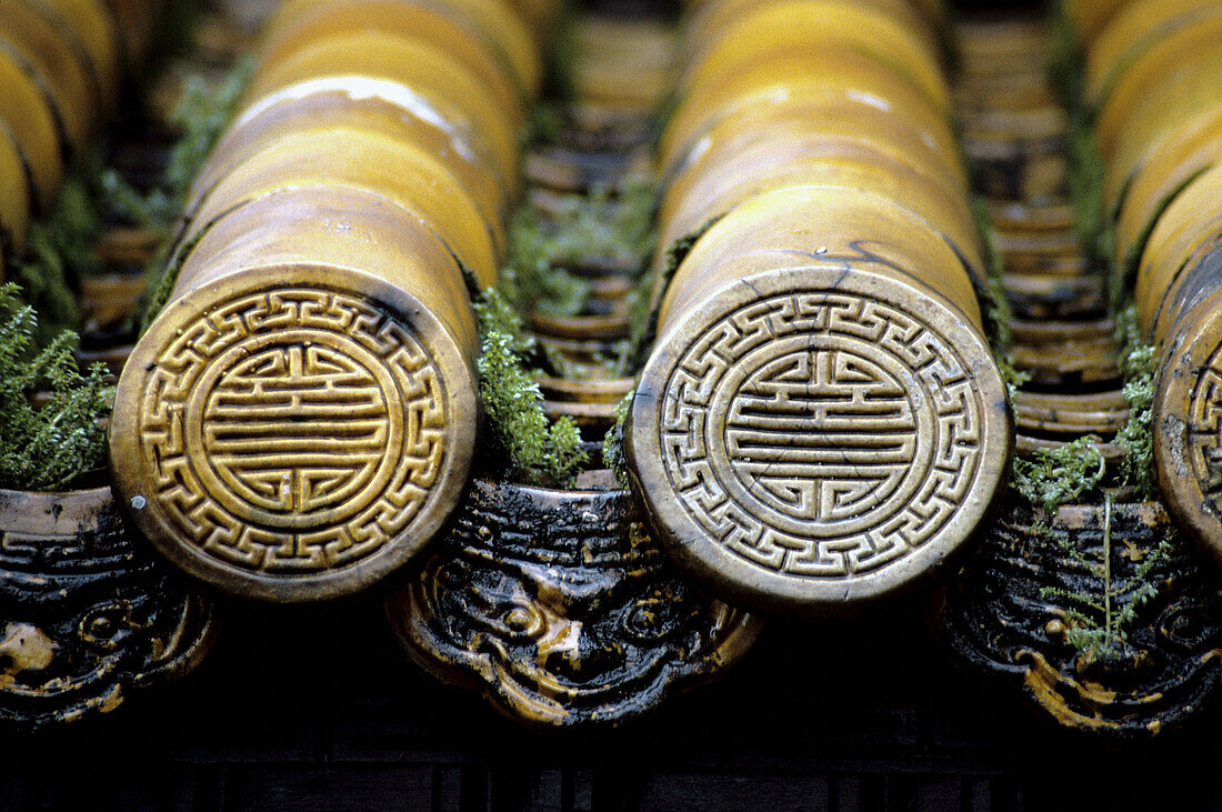 Temple roof, Imperial Purple City. Hue, Vietnam