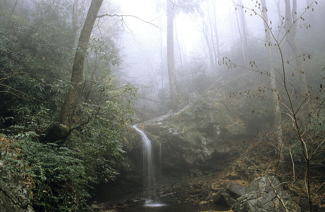 Quiet waterfall, Great Smoky Mountains National Park, Appalachian Mountains. Tennessee, USA