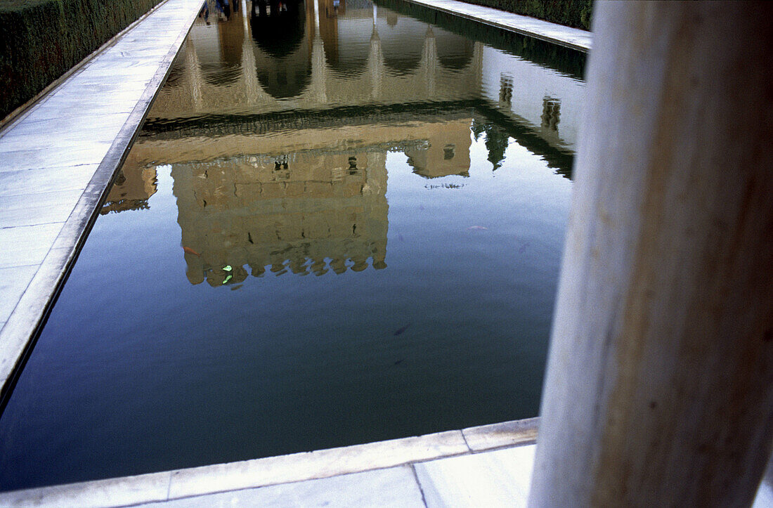 Courtyard Reflection. Alhambra. Granada. Andalucia. Spain