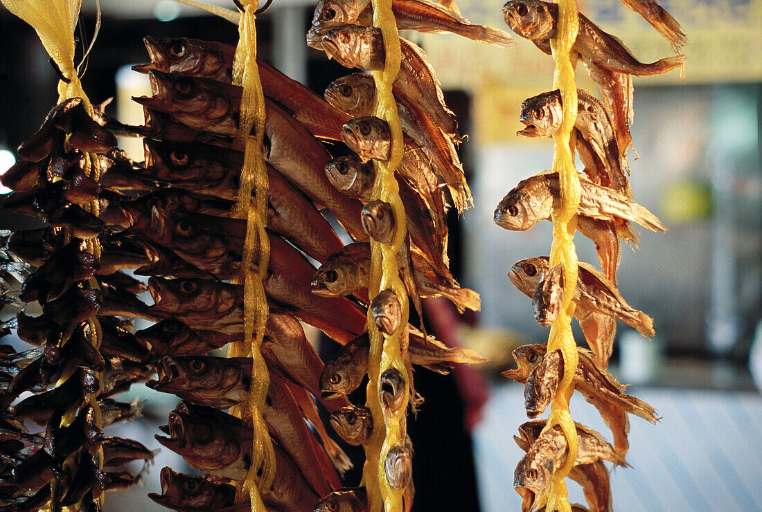 Dried fish at market. Daejeon, South Korea