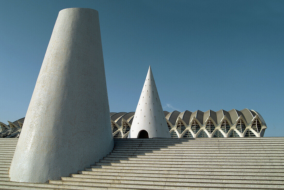 City of Arts and Sciences, by S. Calatrava. Valencia. Spain