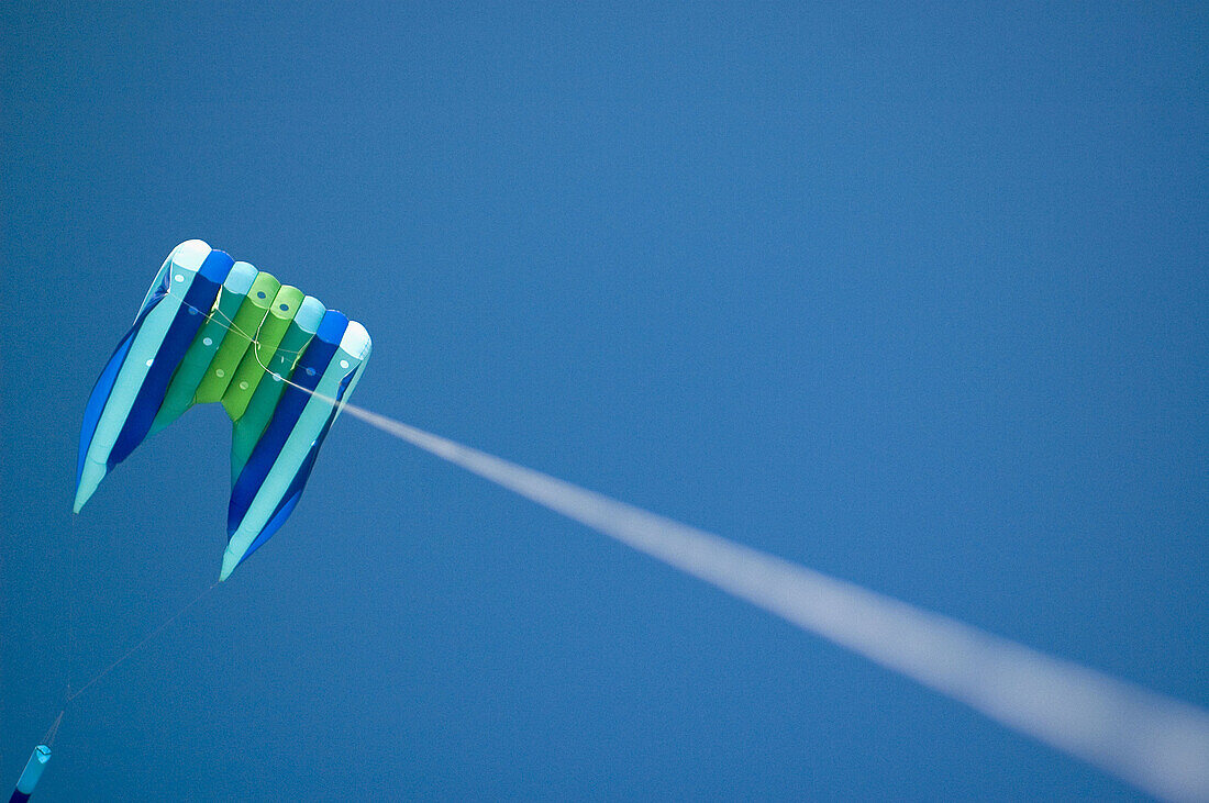 Kite, Kite Festival. Berkeley, California. USA.