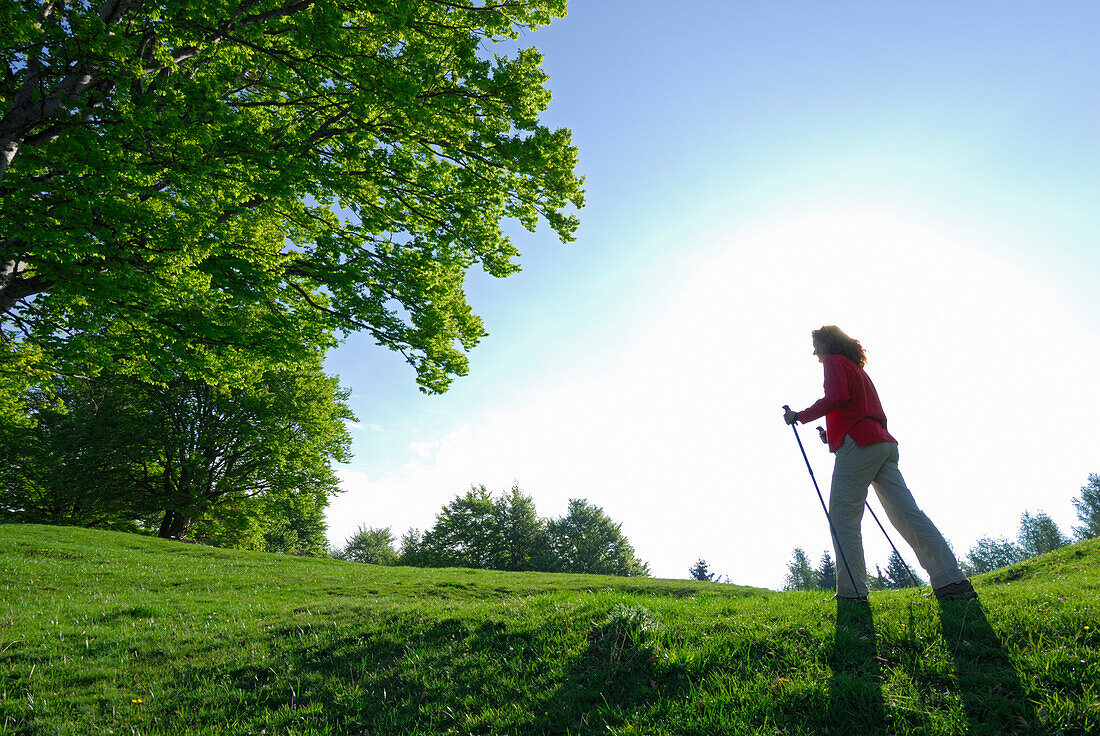 young woman walking on green pasture with fresh green beeches, Alpe del Borgo, Monte San Primo, lake Comer See, Como, Lombardy, Italy