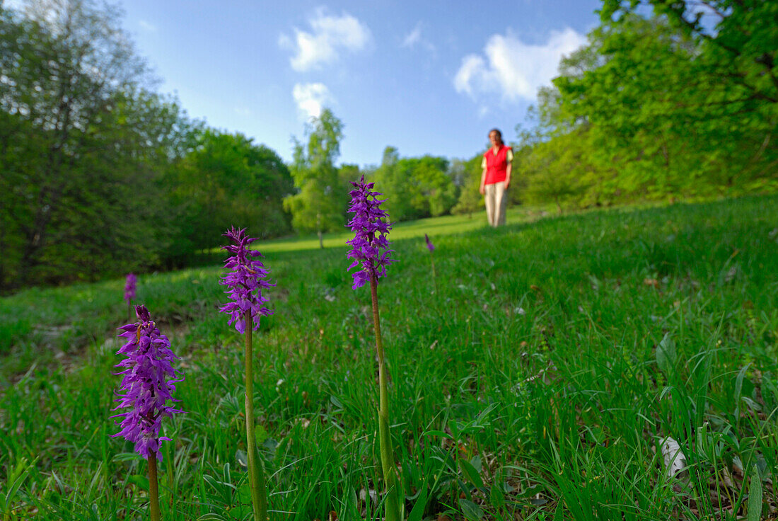 Frau mittleren Alters auf einer Wiese mit Orchideen, Monte San Giorgio, Tessin, Schweiz