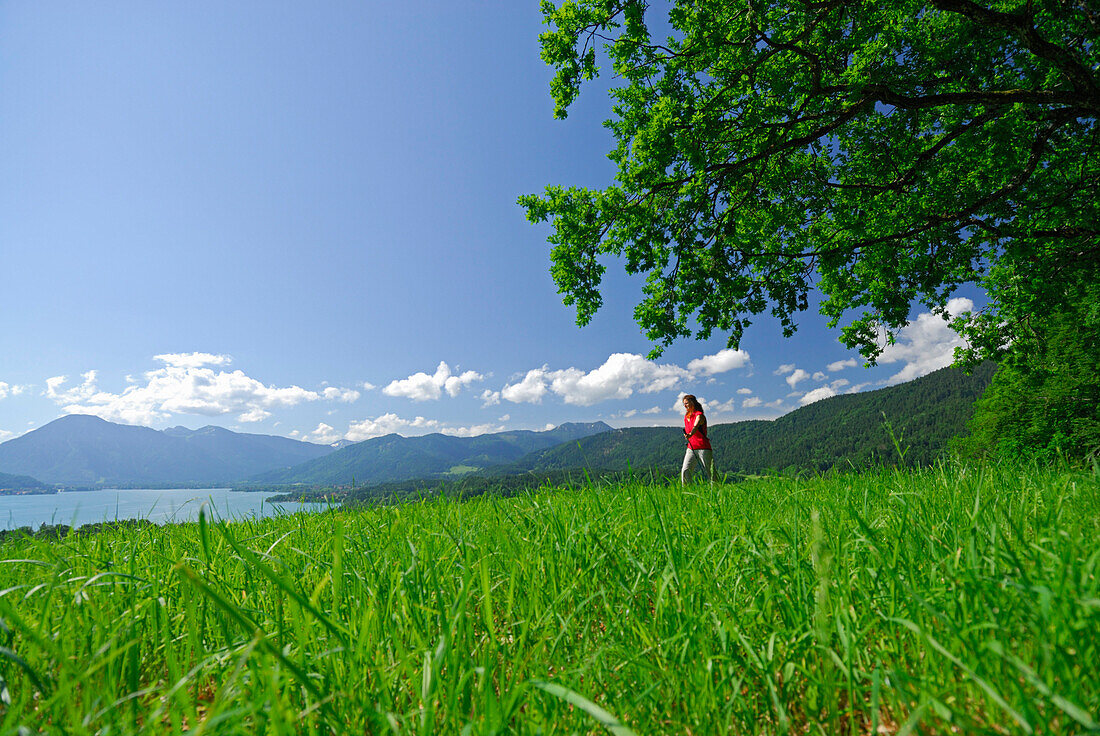 young woman walking on pasture with view to lake Tegernsee, Bavarian foothills, Bavarian range, Upper Bavaria, Bavaria, Germany