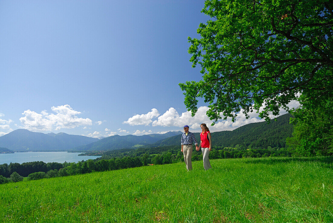 young couple hand in hand on pasture with view to lake Tegernsee, Bavarian foothills, Bavarian range, Upper Bavaria, Bavaria, Germany