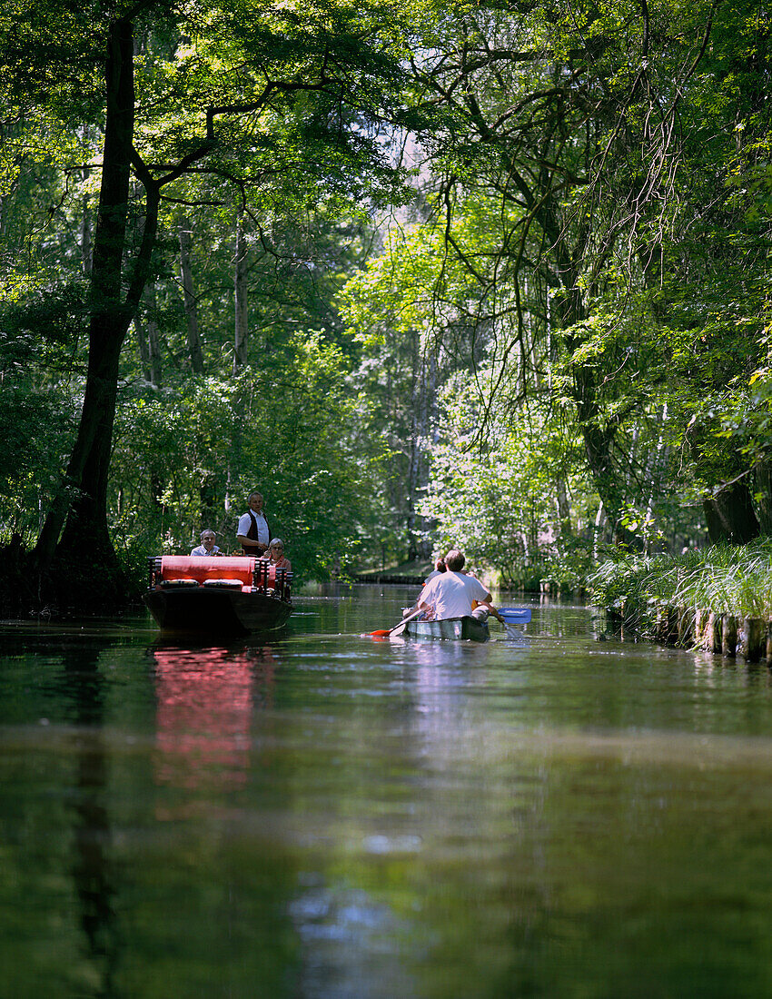 Kayaker meets traditional Spreewald boat, on Leiper Graben, stream at Hochwald, north of Lübbenau, Upper Spreewald, biosphere reservat, Spreewald, Brandenburg, Germany