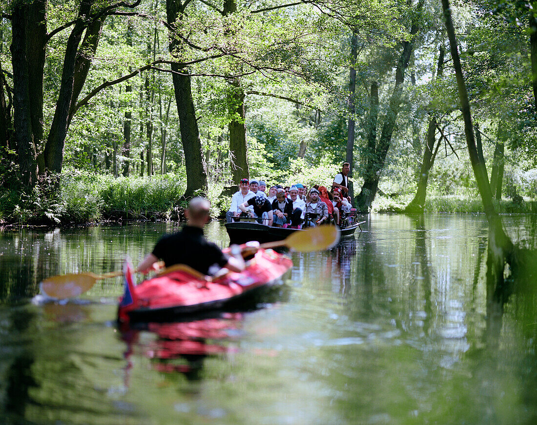 Bootsfahrt im Spreewald bei Lübbenau, Brandenburg, Deutschland