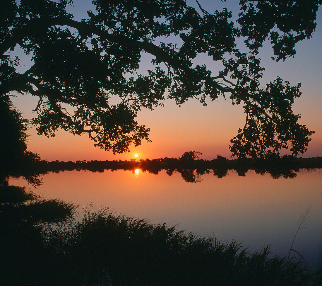 Chobe River at dusk, Chobe national park, Botswana, Africa